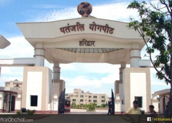 Patanjali University