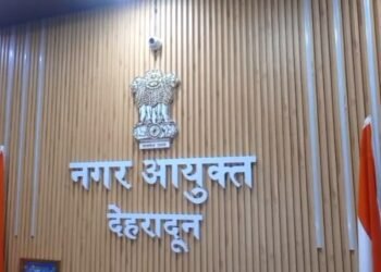 Municipal commissioner