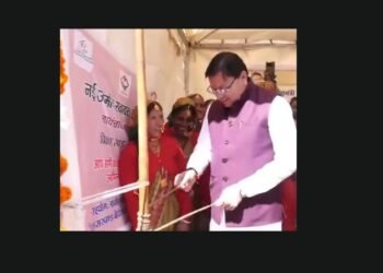 CM Dhami