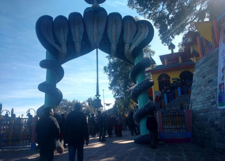 Nagaraja fair