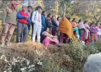 Pauri