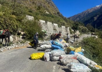 plastic waste