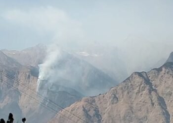 Forest fire