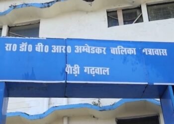 DM Pauri