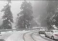 snowfall