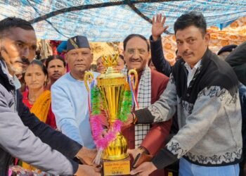 cricket tournament