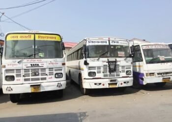Bus