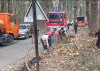 forest fire