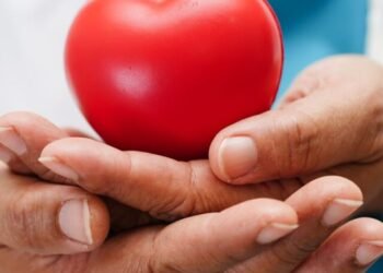 Heart