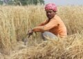 Farmers