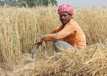 Farmers