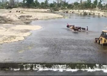 Water