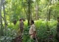 Forest Departmen