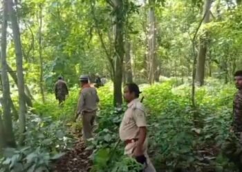 Forest Departmen