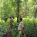 Forest Departmen