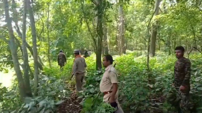 Forest Departmen