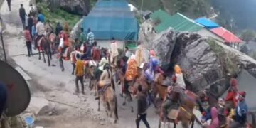 Horses
