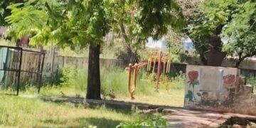 Park