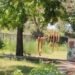 Park