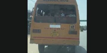 Bus