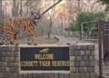 Corbett
