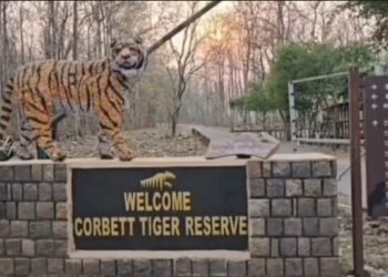 Corbett