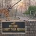 Corbett