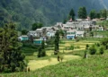 Village