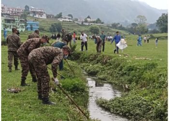 Environment Day