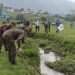 Environment Day