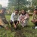 Plantation