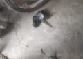 Crime
