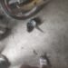 Crime