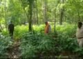 Forest Department