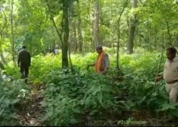 Forest Department