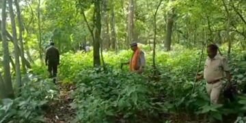 Forest Department