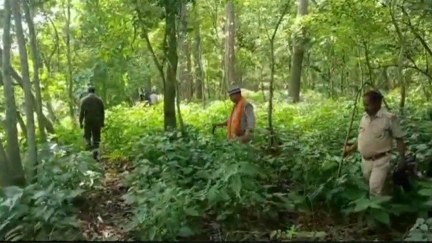 Forest Department