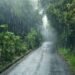 monsoon