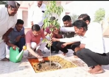 planted