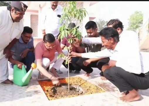 planted
