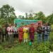 tree plantation
