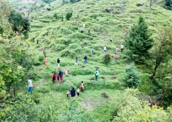 Plantation