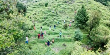 Plantation