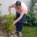 plantation