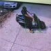 CCTV