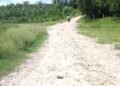 Road