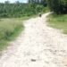 Road