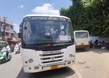 Bus