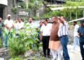 inspection