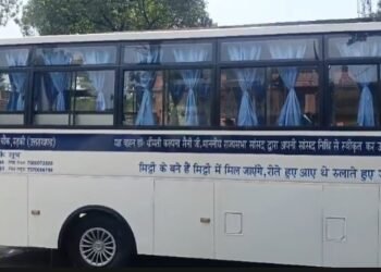 Bus